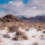 The largest desert in the word Antarctic