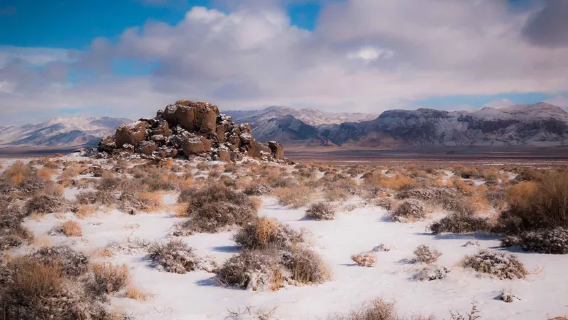 The largest desert in the word Antarctic