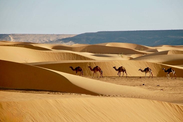 The Mind-blowing Facts about Deserts