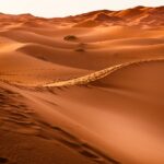 Sand dunes of a vast Desert